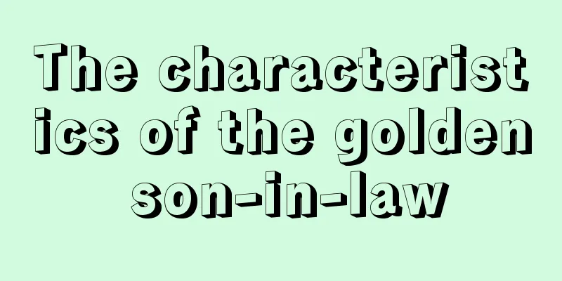 The characteristics of the golden son-in-law