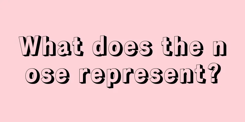 What does the nose represent?