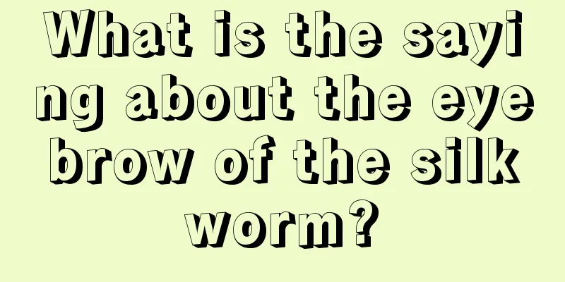 What is the saying about the eyebrow of the silkworm?