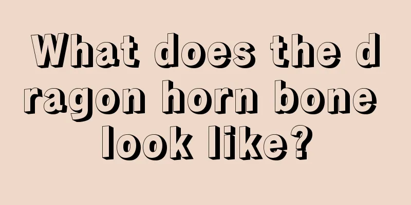 What does the dragon horn bone look like?