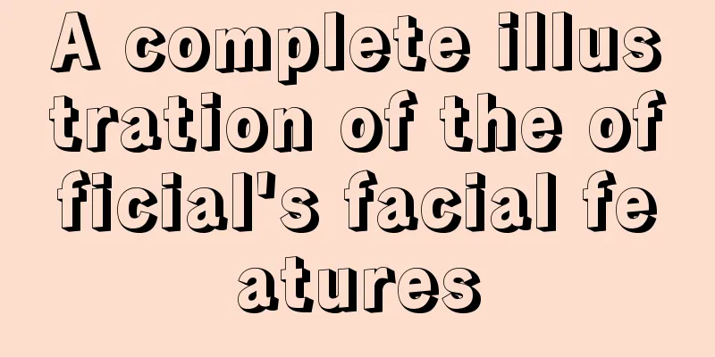 A complete illustration of the official's facial features