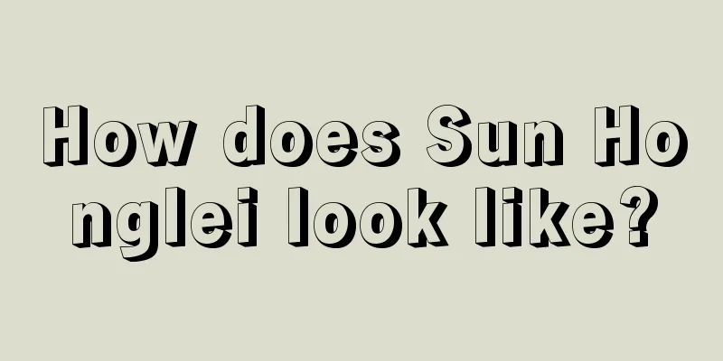 How does Sun Honglei look like?