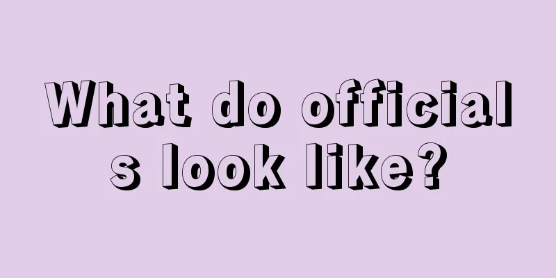 What do officials look like?