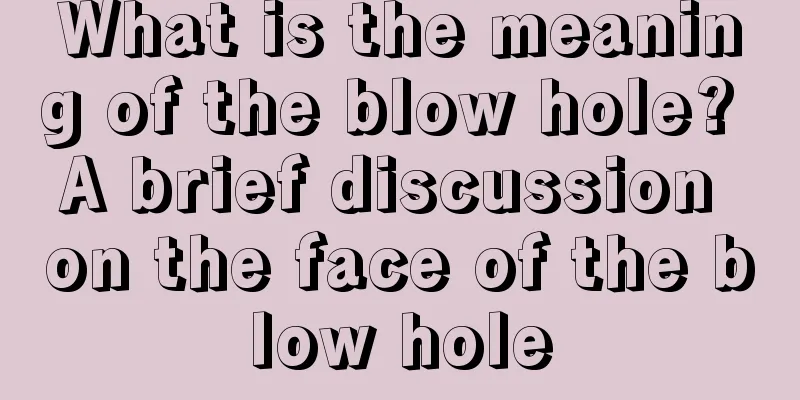 What is the meaning of the blow hole? A brief discussion on the face of the blow hole