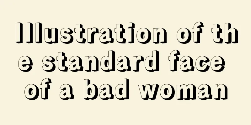 Illustration of the standard face of a bad woman