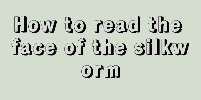 How to read the face of the silkworm
