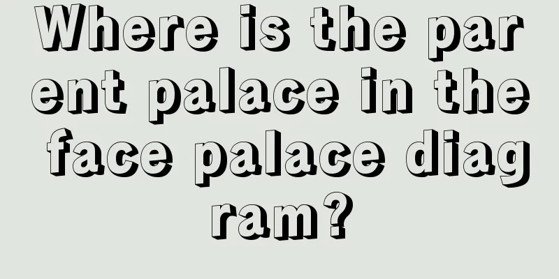 Where is the parent palace in the face palace diagram?