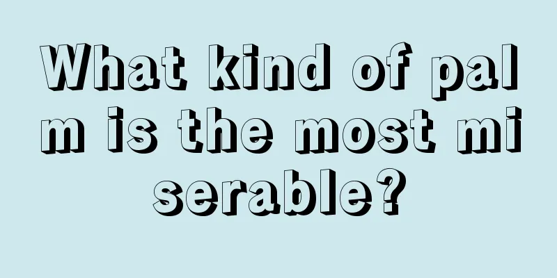 What kind of palm is the most miserable?