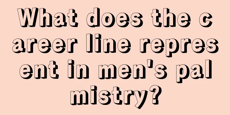 What does the career line represent in men's palmistry?