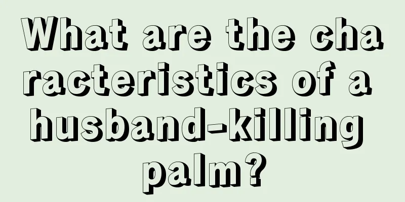 What are the characteristics of a husband-killing palm?