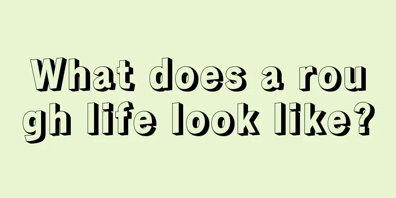 What does a rough life look like?