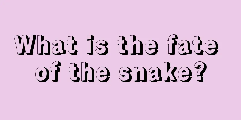 What is the fate of the snake?
