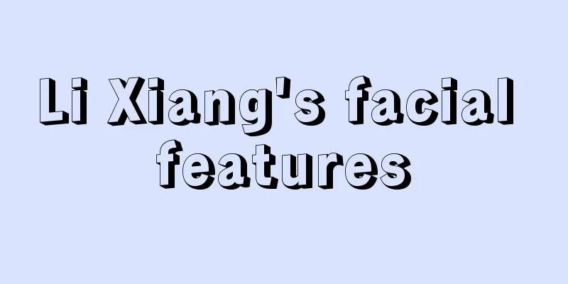 Li Xiang's facial features