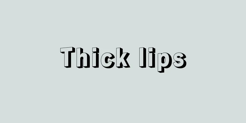 Thick lips
