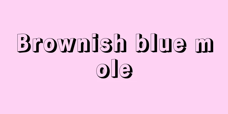Brownish blue mole