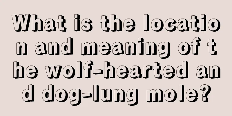 What is the location and meaning of the wolf-hearted and dog-lung mole?