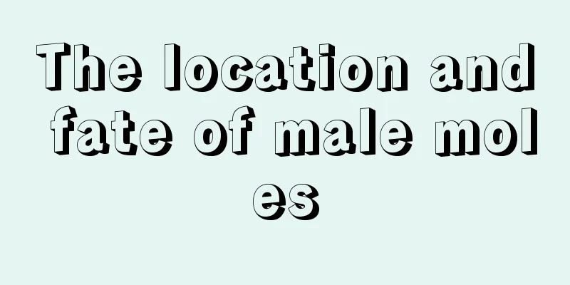 The location and fate of male moles