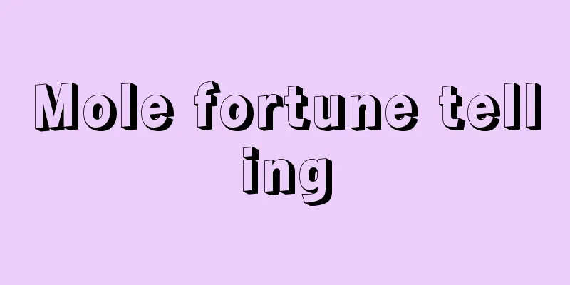Mole fortune telling