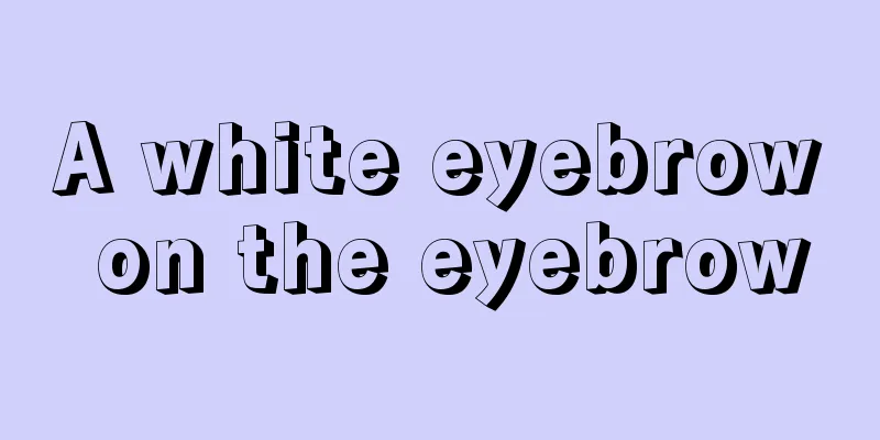 A white eyebrow on the eyebrow