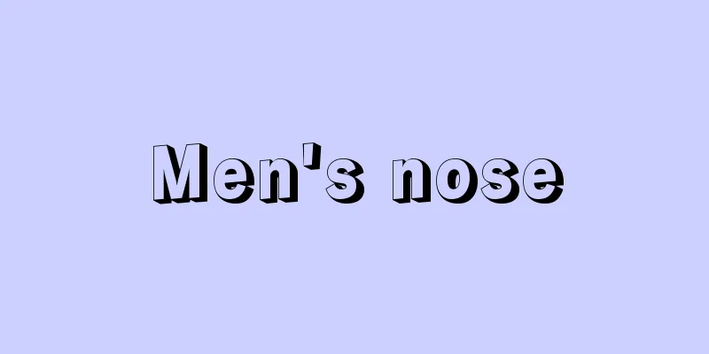 Men's nose