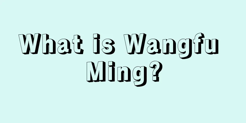 What is Wangfu Ming?
