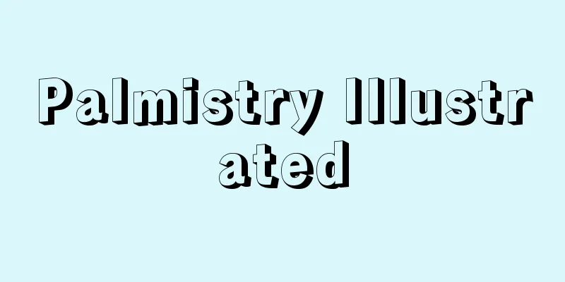 Palmistry Illustrated