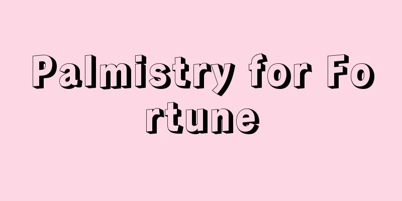 Palmistry for Fortune