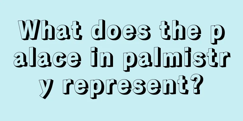 What does the palace in palmistry represent?
