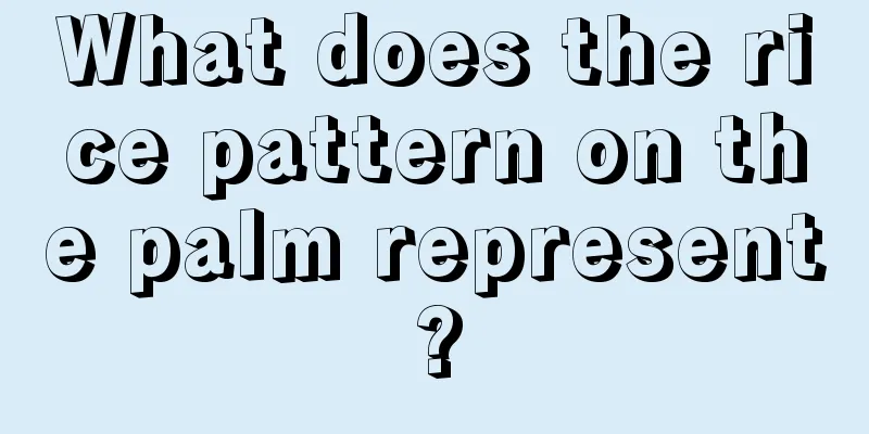 What does the rice pattern on the palm represent?