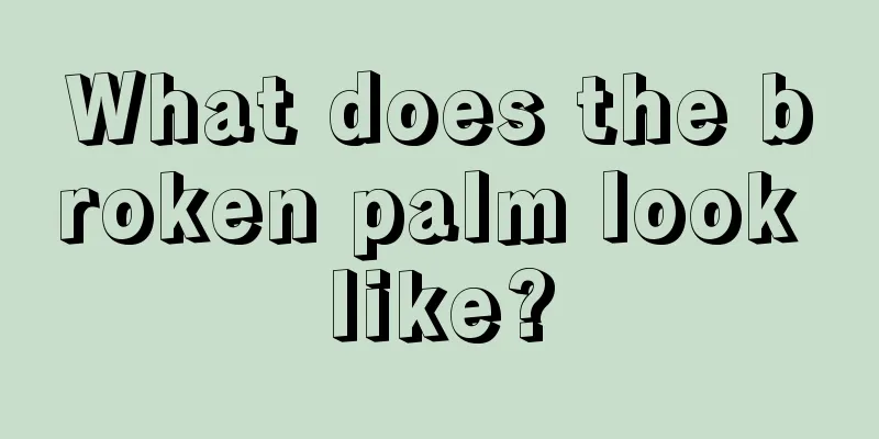 What does the broken palm look like?