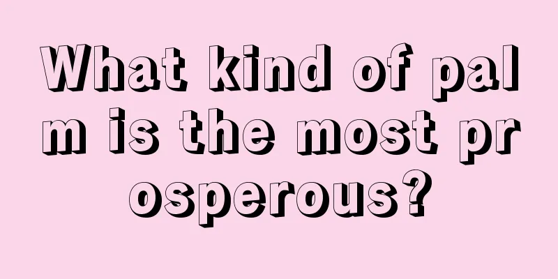 What kind of palm is the most prosperous?