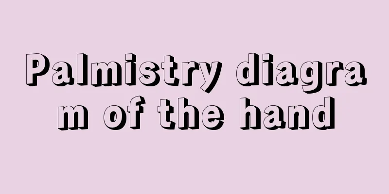 Palmistry diagram of the hand