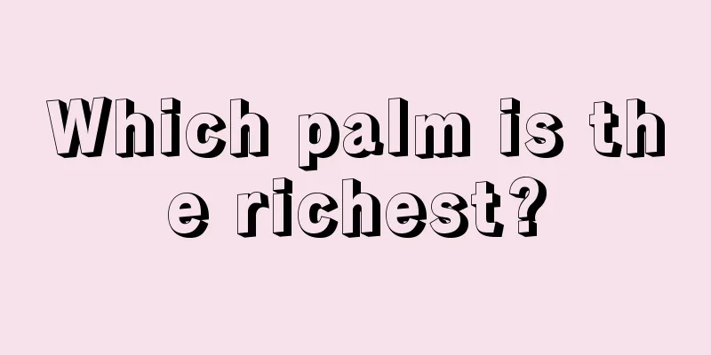 Which palm is the richest?
