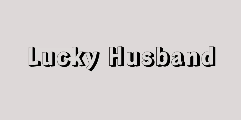 Lucky Husband
