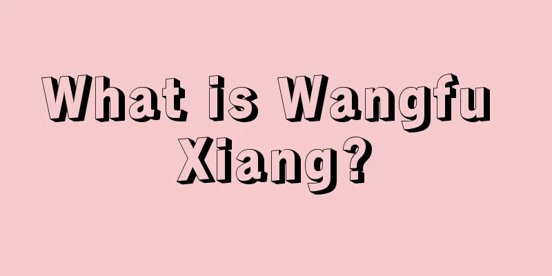 What is Wangfu Xiang?