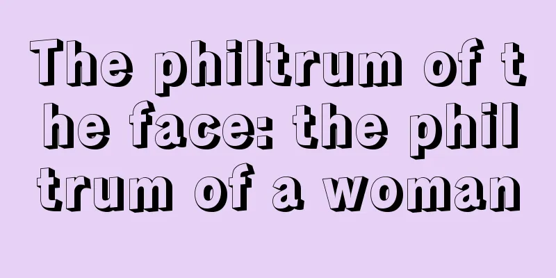The philtrum of the face: the philtrum of a woman