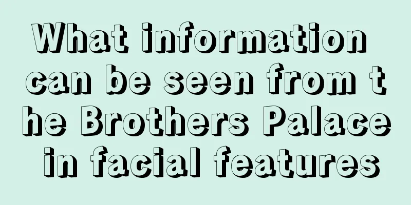 What information can be seen from the Brothers Palace in facial features