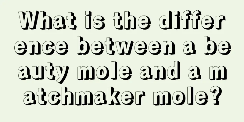 What is the difference between a beauty mole and a matchmaker mole?