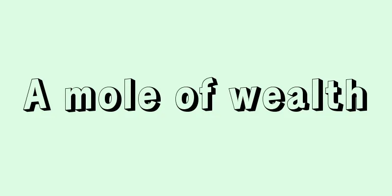 A mole of wealth