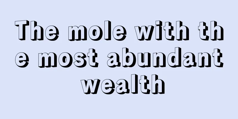 The mole with the most abundant wealth