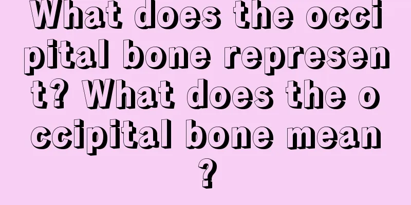 What does the occipital bone represent? What does the occipital bone mean?