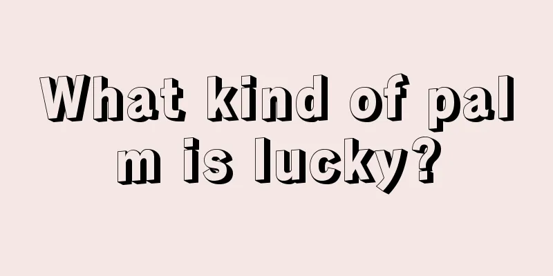 What kind of palm is lucky?