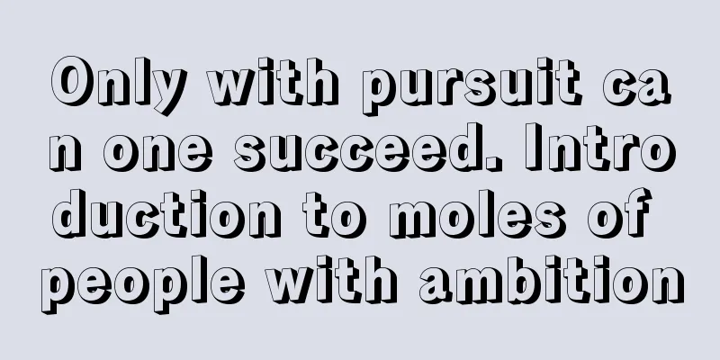 Only with pursuit can one succeed. Introduction to moles of people with ambition