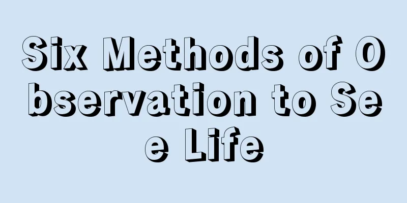 Six Methods of Observation to See Life