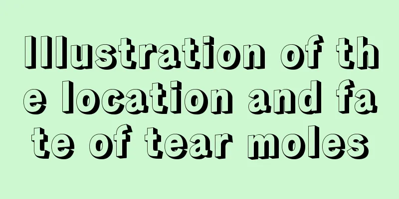 Illustration of the location and fate of tear moles