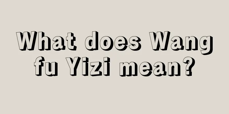 What does Wangfu Yizi mean?