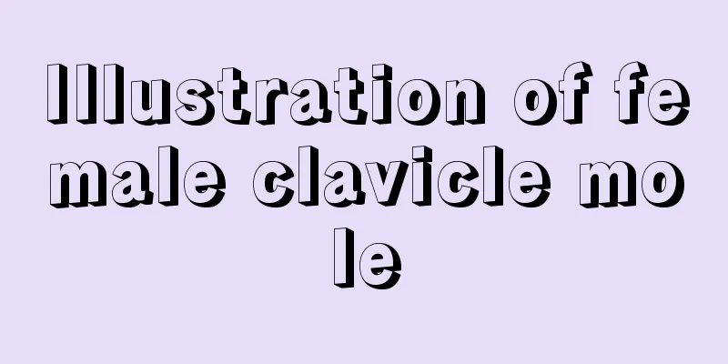 Illustration of female clavicle mole