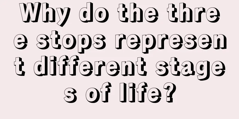 Why do the three stops represent different stages of life?