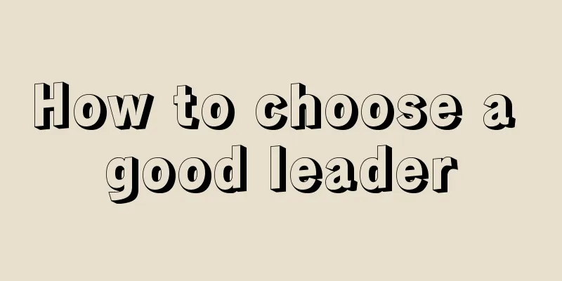 How to choose a good leader