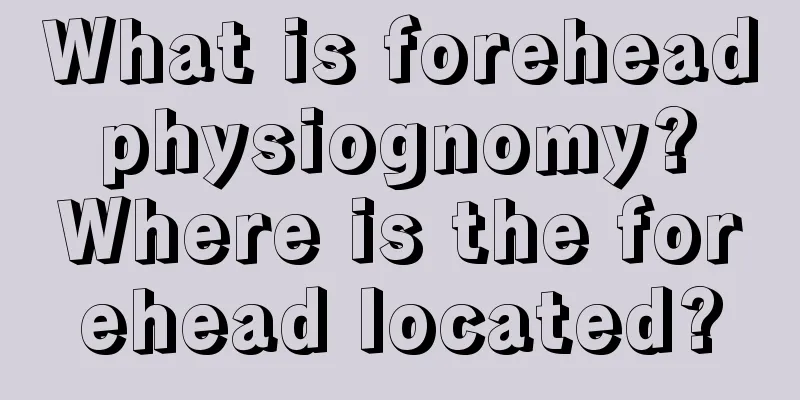 What is forehead physiognomy? Where is the forehead located?